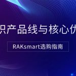 RAKsmart选购指南：认识产品线与核心优势