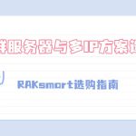 RAKsmart选购指南：站群服务器与多IP方案选择