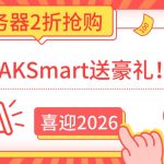 喜迎2026，RAKSmart送豪礼！ 服务器2折抢购，首月半价加码