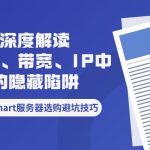 RAKsmart服务器选购避坑技巧：深度解读CPU、带宽、IP中的隐藏陷阱
