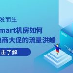 为高并发而生:RAKsmart机房如何支撑电商大促的流量洪峰