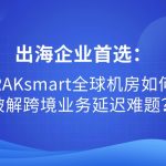 出海企业首选：RAKsmart全球机房如何破解跨境业务延迟难题？