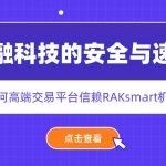 金融科技的安全与速度：为何高端交易平台信赖RAKsmart机房