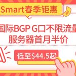 RakSmart春季钜惠：国际BGP G口不限流量服务器首月半价，低至$44.5起