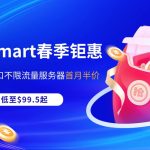 【RakSmart春季钜惠】大陆优化G口不限流量服务器首月半价，多款配置低至$99.5起