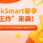 RakSmart春季“王炸”来袭！国际BGP 10G口不限流量服务器首月半价