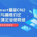 告别天价专线网络:RakSmart精品CN2用灵活与高性价比重塑跨境企业级网络