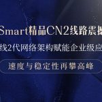 RakSmart精品CN2线路震撼上线：全线2代网络架构赋能企业级应用，速度与稳定性再攀高峰