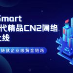 RakSmart精品CN2