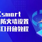 RAKsmart 主机防火墙设置与端口开放教程