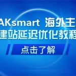 RAKsmart 海外主机建站延迟优化教程