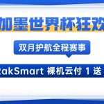 美加墨世界杯狂欢！RakSmart 裸机云付 1 送 1，双月护航全程赛事